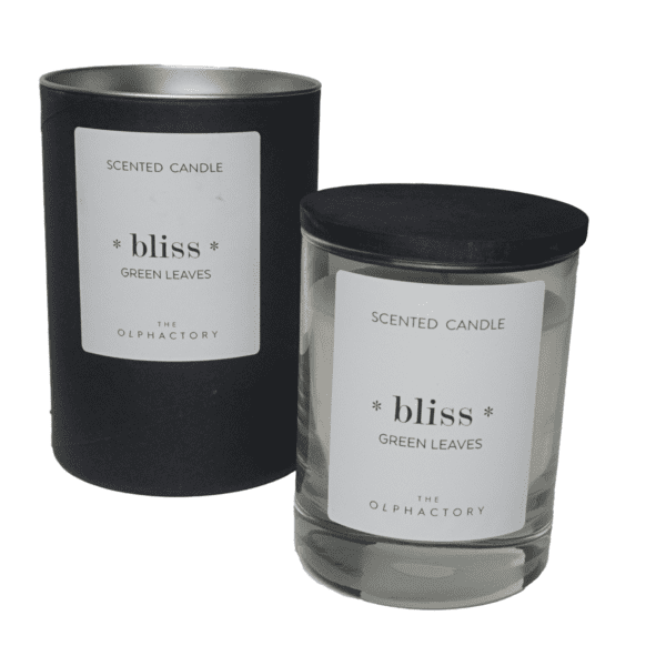 The Olphactory - Bliss - Green Leaves - 200gr - Geurkaars -1 VXhome