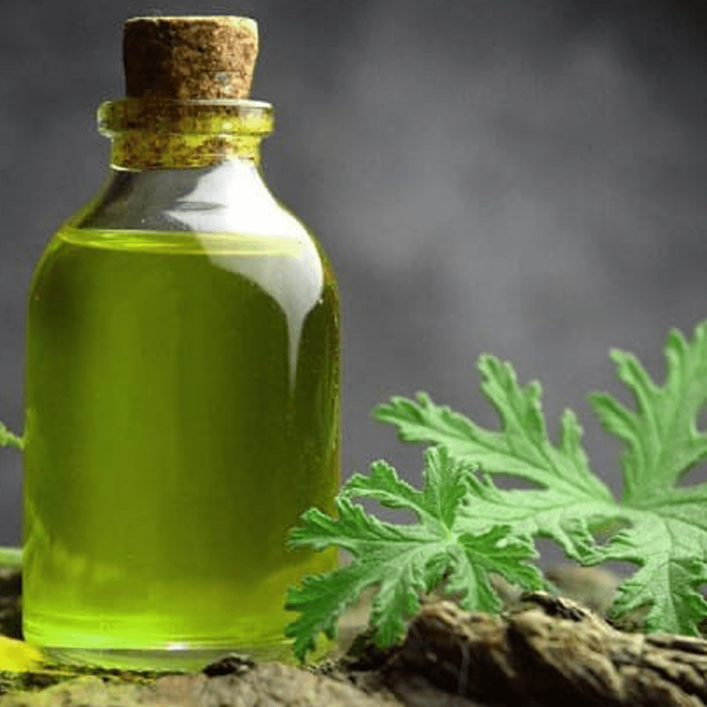 Citronella Afwerend verfrissend -1 VXhome