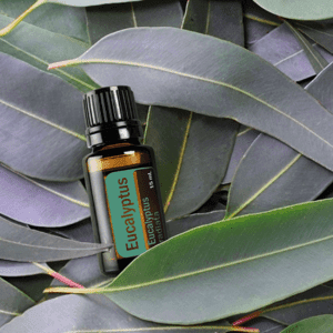 Eucalyptus Zuiverend verfrissend -1 VXhome