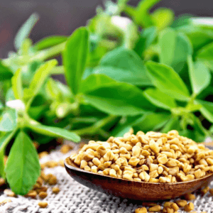 Fenegriek Verwarmend stimulerend -1 VXhome