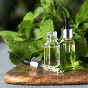 Green Leaves - verkwikkend en kalmerend -1 VXhome