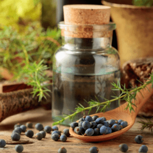 Jeneverbes Zuiverend verfrissend -1 VXhome