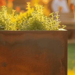 Keuzehulp Cortenstalen plantenbakken bloembakken