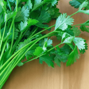 Koriander Verkwikkend zuiverend -1 VXhome