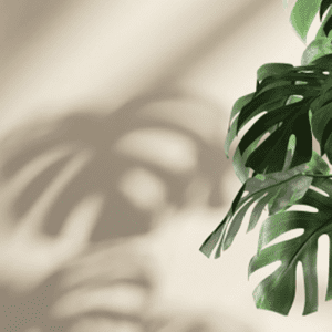 Kunstbloemen en planten VXhome