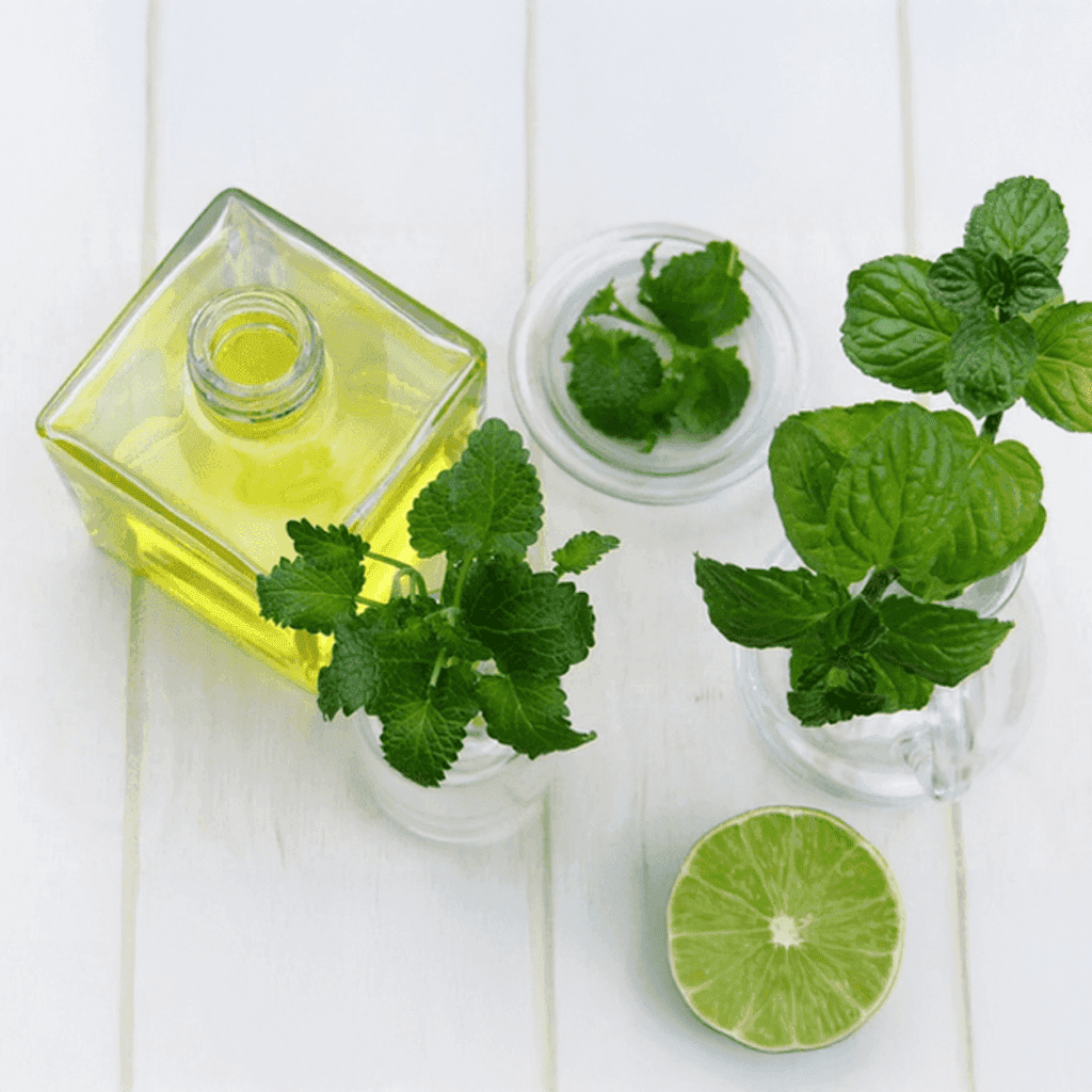 Mint Tea en Basil - verkwikkend en rustgevend -1 VXhome