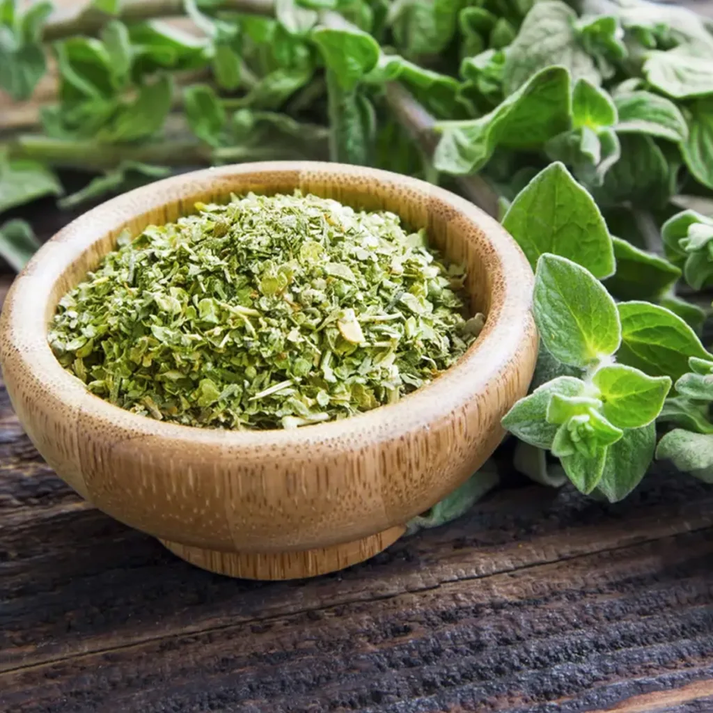 Oregano - Zuiverend en Versterkend -1 VXhome
