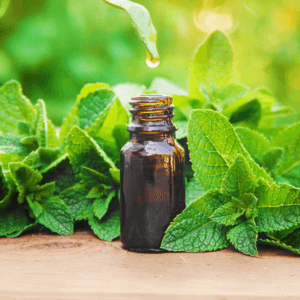 Pepermunt - verfrissend en verhelderend -1 VXhome