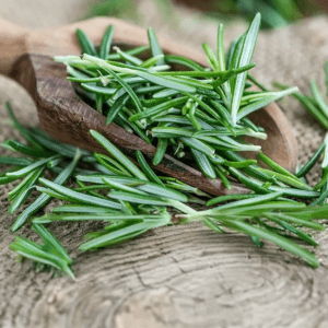 Rozemarijn - stimulerend en verhelderend -1 VXhome