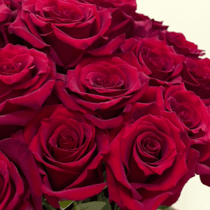 Rozen - harmoniserend en huidverzorgend -1 VXhome