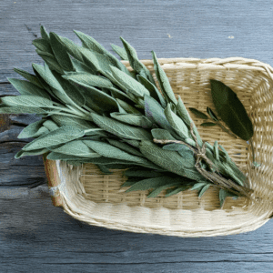 Salie - Zuiverend en Versterkend -1 VXhome