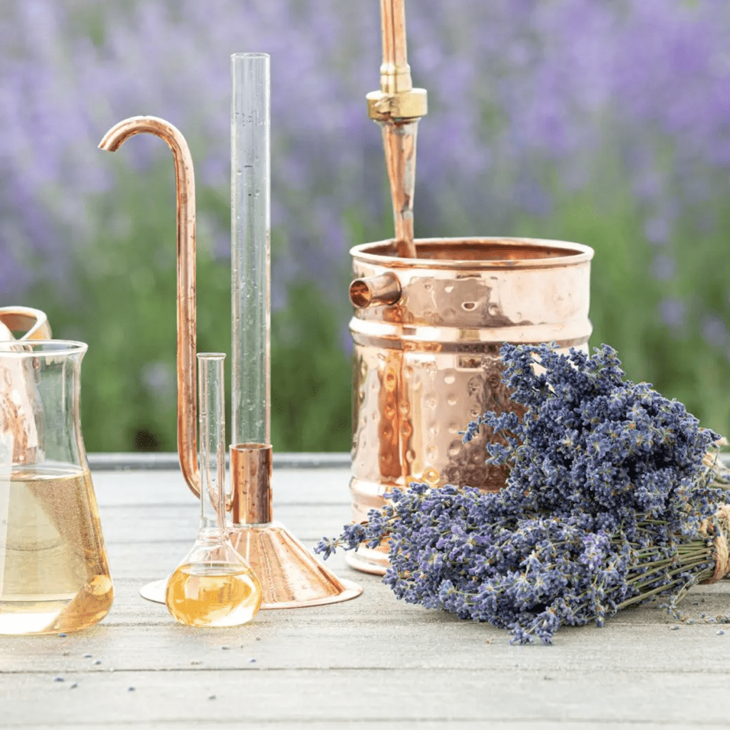 blog - Hoe worden essentiële oliën gemaakt-