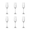 WATERVAL CHAMPAGNE FLUIT-SET VAN 6