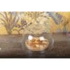 H25 D30cm glazen bel - Afbeelding 2