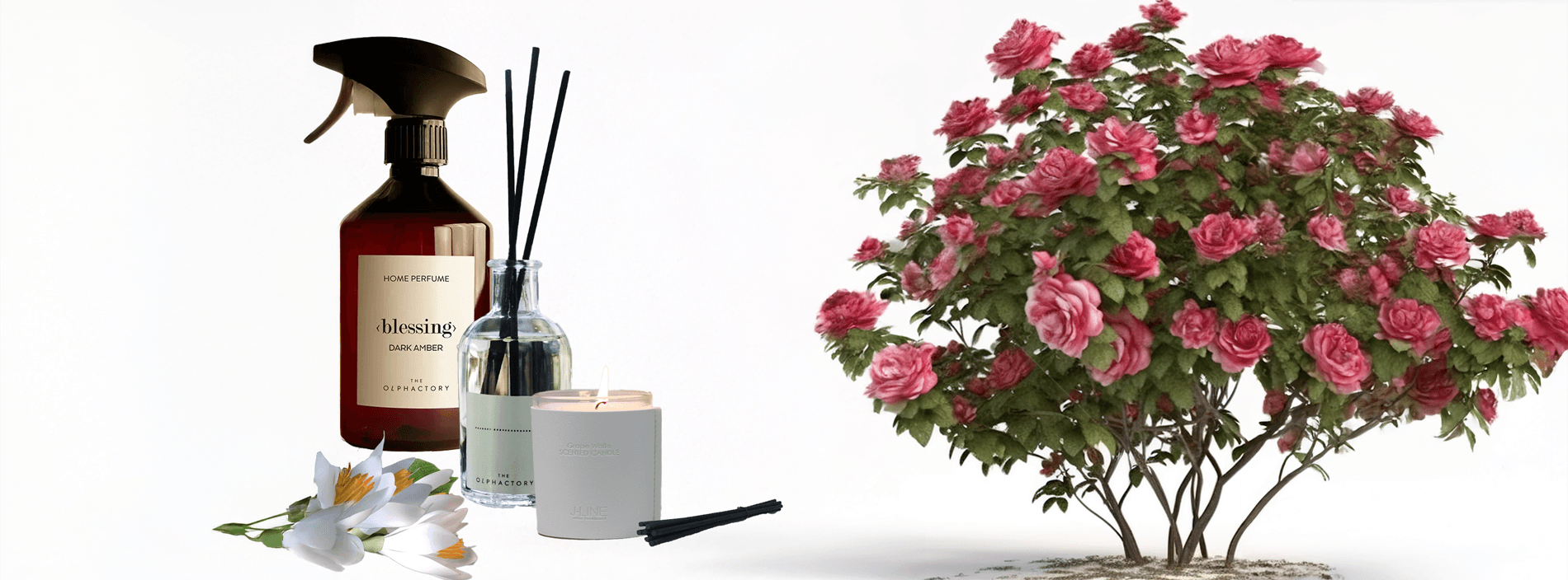 Fragrance banner VXhome